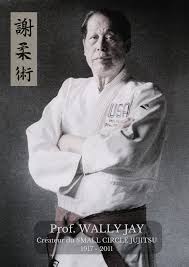 Image result for Komaru Ryu Small Circle Jujitsu/Karate