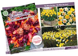 「CATALOG請求」的圖片搜尋結果