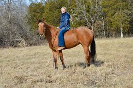 Image result for horse girl gun