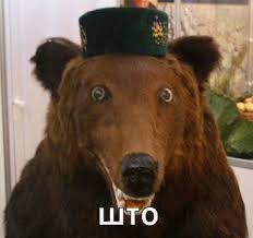 images?q=tbn:ANd9GcRZrh6iAPqKTpXOn0kuZuqv0pJgk3XKNPbgLq0rvx6vfwn35nhb