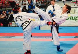 Image result for Kicking Dragon Kung Fu School, Belfast