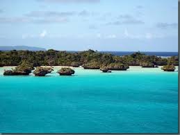 Attēlu rezultāti vaicājumam “Fuligo laevis”