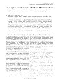 Attēlu rezultāti vaicājumam “Isothecium myosuroides sporophyte”