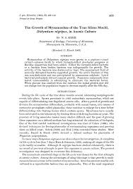 Attēlu rezultāti vaicājumam “Didymium nigripes young”