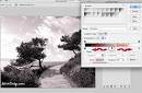 How to Get a High Contrast Black and White Image  Crisp PhotoWorks