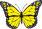 Image result for butterfly