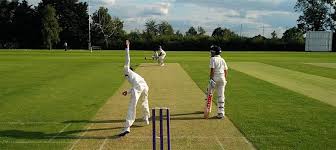 Image result for Stanmore Cricket Club