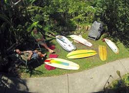 Image result for The British Kneeboard Surfing Club