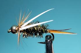 Attēlu rezultāti vaicājumam “nymph”