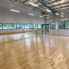 Image result for Spelthorne School Of Gymnastics