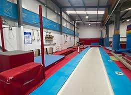Image result for Lynx Gymnastics Club