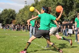 Image result for The Dodgeball Company