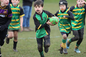 Image result for Effingham and Leatherhead Rfc