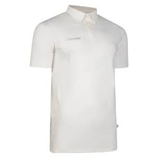 Image result for Lansdown Cricket Club