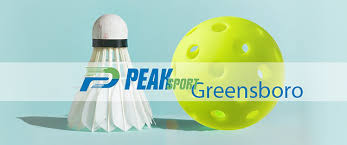 Image result for Ripley A & B Badminton Club