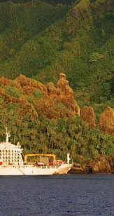 Attēlu rezultāti vaicājumam “Aranei exuvia”