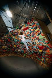 Image result for Hale Barns Dojo