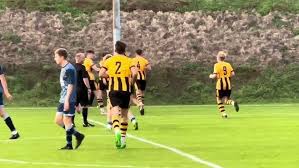 Image result for Torpoint Athletic Football Club