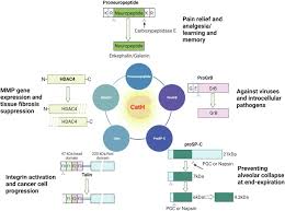 Image result for %EA%EB%E0%E2%E8%E0%F2%F3%F0%E0