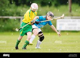 Image result for Skye Camanachd