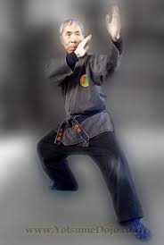 Image result for Bujinkan Dojo Seijitsu