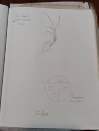 Image result for m42 sketch