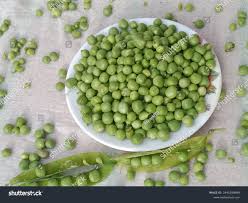 Attēlu rezultāti vaicājumam “Pisum sativum”