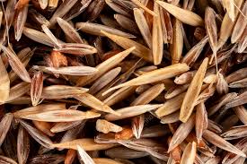 Attēlu rezultāti vaicājumam “Agrostis capillaris”