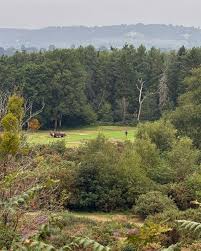 Image result for Reigate Heath Golf Club
