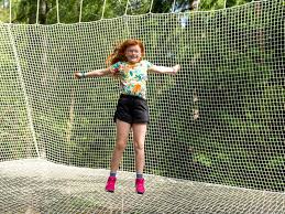 Image result for Go Ape! Alice Holt