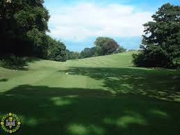 Image result for Flint Golf Club