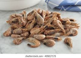 Attēlu rezultāti vaicājumam “Crangon crangon”