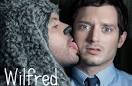 makes Wilfred so watchable