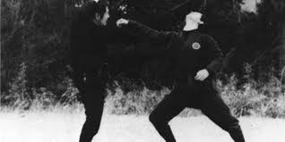 Image result for Bujinkan Ninpo Dojo