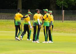 Image result for Louth Cricket Club