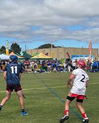 Image result for St Peter`s Gaa