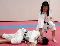 Image result for Melbourne Judo Club