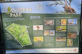 Image result for Bristol St Andrews Bowling Club Ltd