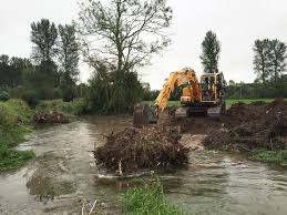 Image result for City Of London Piscatorial Society