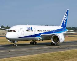 Image result for ana