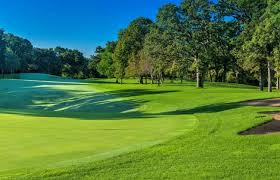 Image result for Elgin Scrabble Club