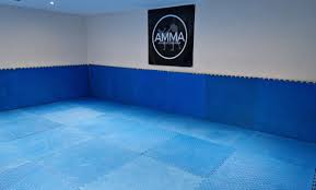 Image result for Atherstone Karate Club