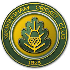Image result for Wokingx1 Cricket Club