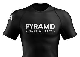 Image result for Pyramid martial arts