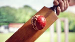 Image result for Purnell Cricket Club