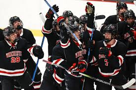 Image result for Winchester Hockey Club