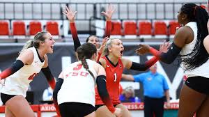Image result for Reading Aces Volleyball Club