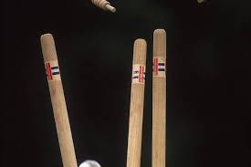 Image result for Hemel Hempstead Cc