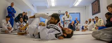 Image result for Unity School Of Jiu Jitsu