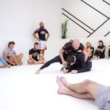 Image result for Team Renegade BJJ & Judo